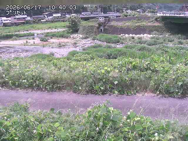 佐治川１2026/06/17 12:10:00