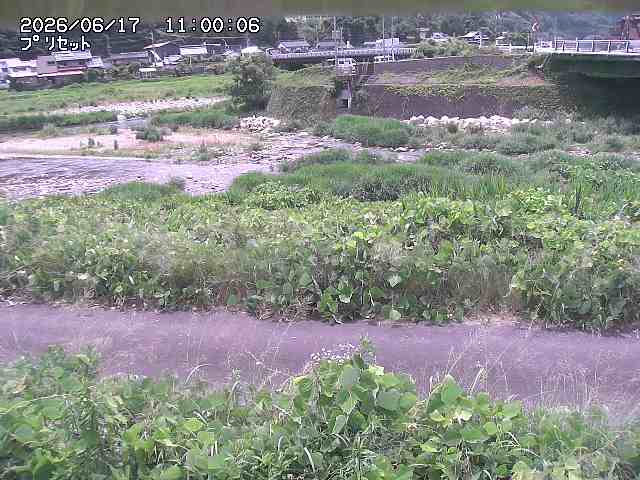 佐治川１2026/06/17 12:10:00