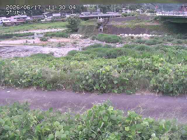 佐治川１2026/06/17 12:10:00