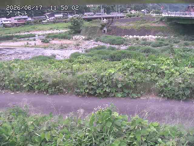 佐治川１2026/06/17 12:10:00