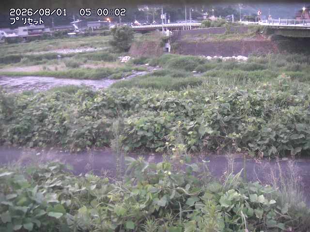 佐治川１2026/08/01 20:50:00