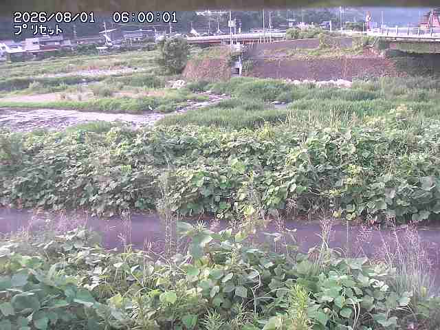 佐治川１2026/08/01 20:50:00
