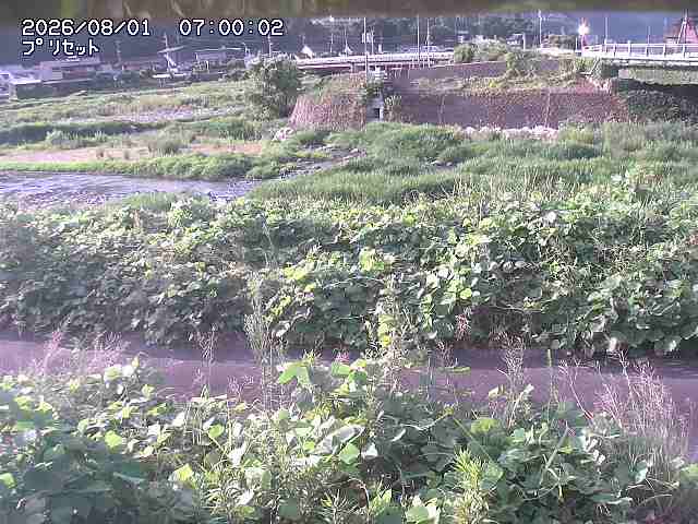 佐治川１2026/08/01 20:50:00