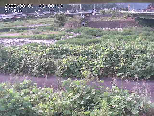 佐治川１2026/08/01 20:50:00