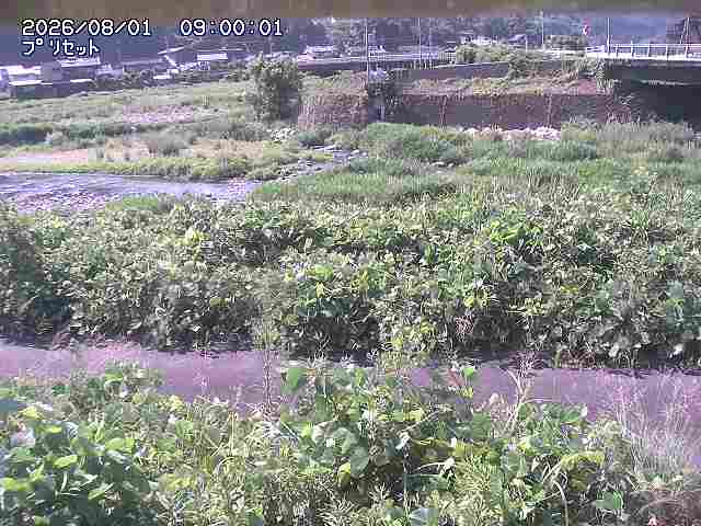 佐治川１2026/08/01 20:50:00