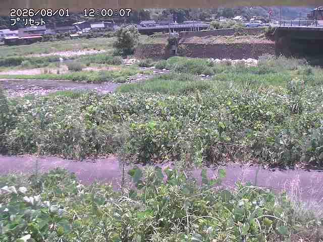 佐治川１2026/08/01 20:50:00