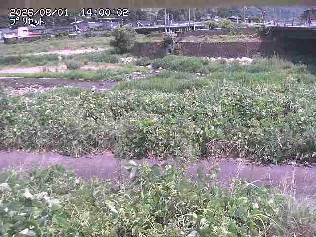 佐治川１2026/08/01 20:50:00
