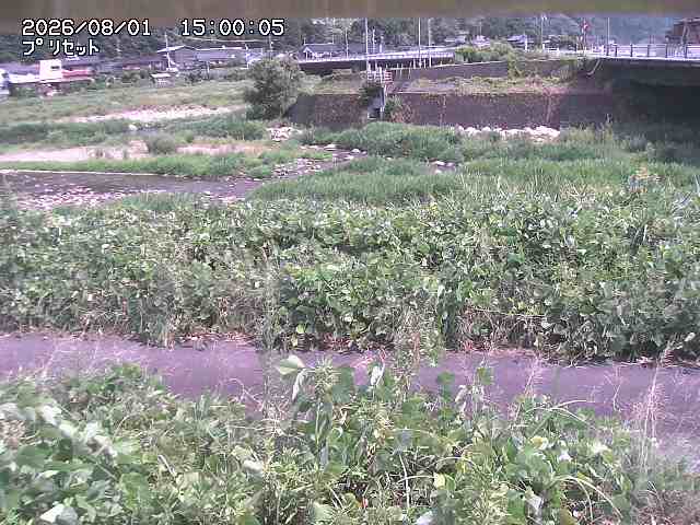 佐治川１2026/08/01 20:50:00