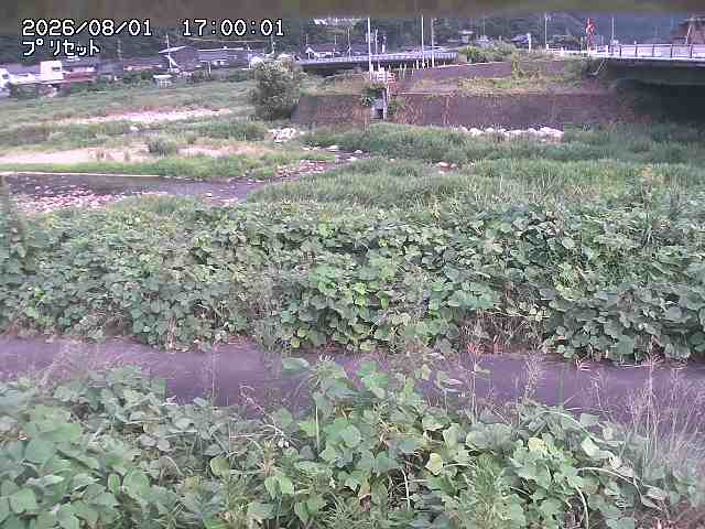 佐治川１2026/08/01 20:50:00