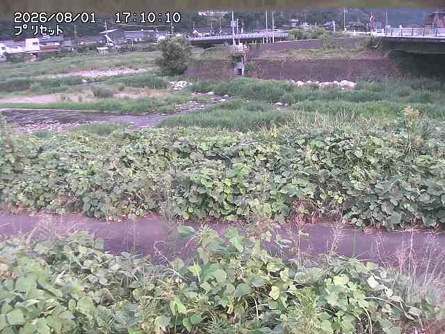 佐治川１2026/08/01 20:50:00