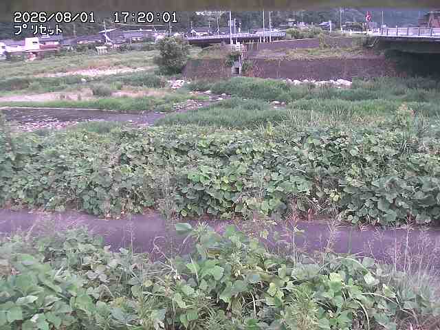 佐治川１2026/08/01 20:50:00