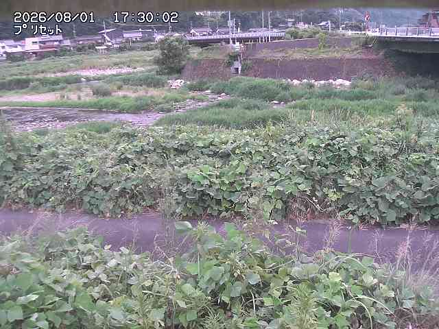 佐治川１2026/08/01 20:50:00