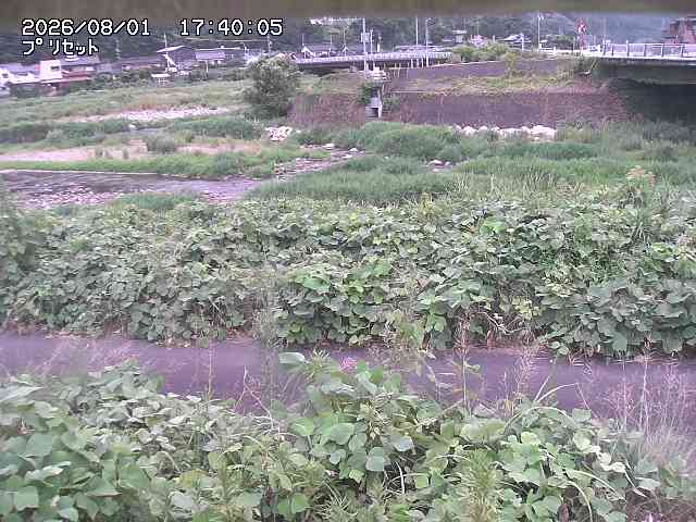 佐治川１2026/08/01 20:50:00