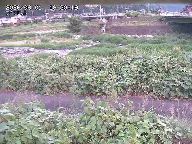 佐治川１2026/08/01 20:50:00