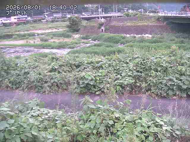 佐治川１2026/08/01 20:50:00