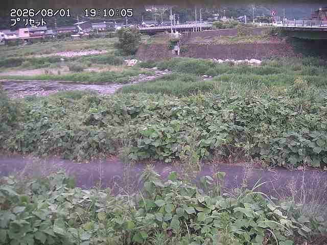 佐治川１2026/08/01 20:50:00
