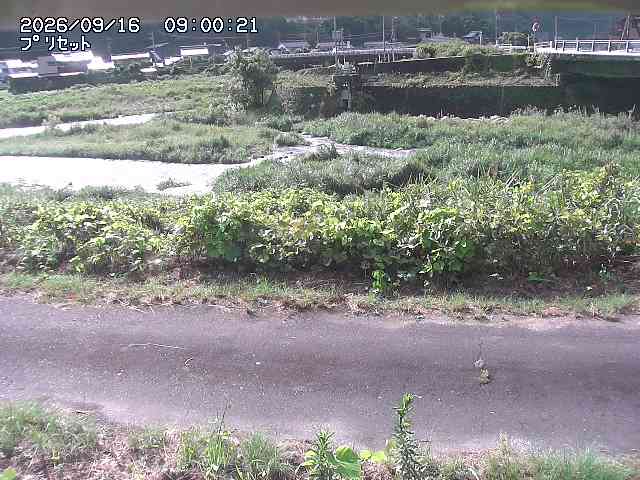 佐治川１2026/09/16 16:40:00