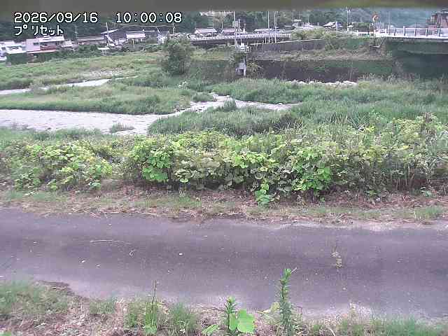 佐治川１2026/09/16 16:40:00