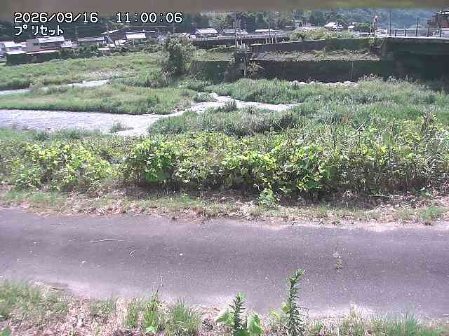 佐治川１2026/09/16 16:40:00
