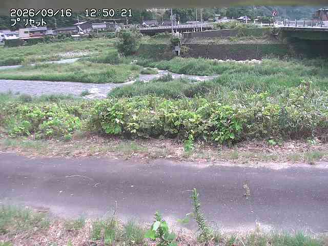 佐治川１2026/09/16 16:40:00