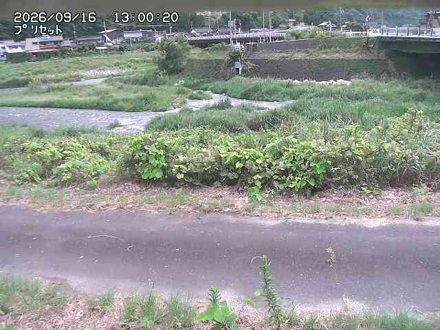 佐治川１2026/09/16 16:40:00
