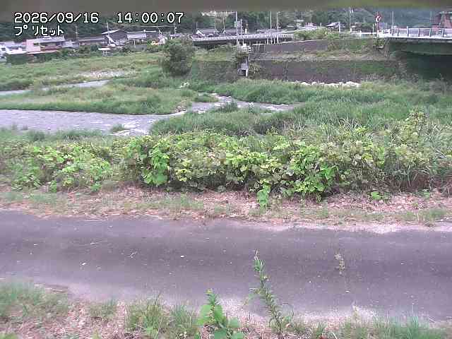 佐治川１2026/09/16 16:40:00