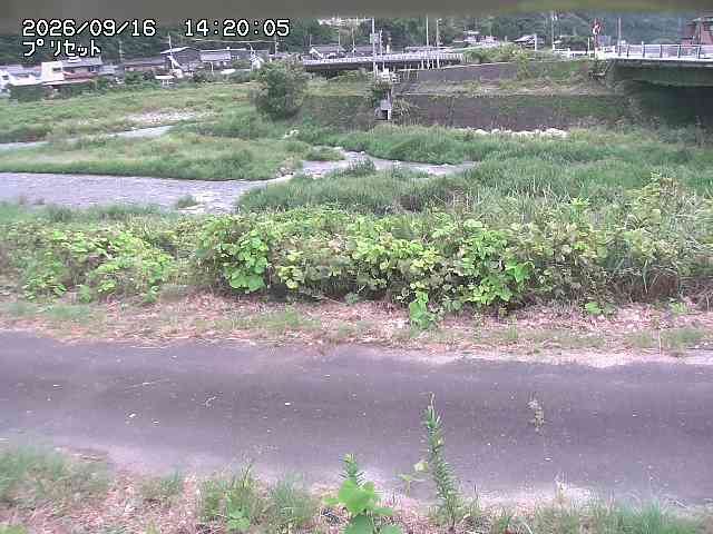 佐治川１2026/09/16 16:40:00