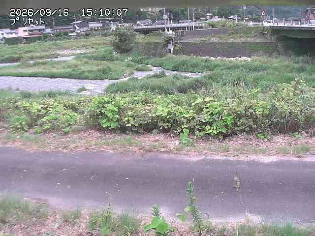 佐治川１2026/09/16 16:40:00