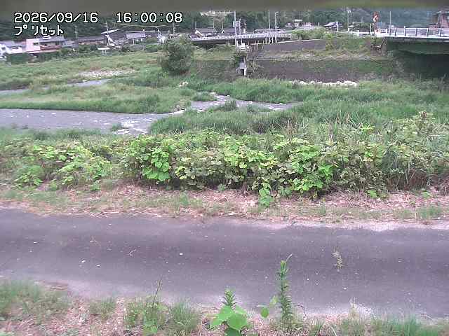 佐治川１2026/09/16 16:40:00