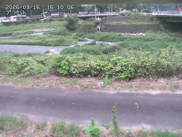 佐治川１2026/09/16 16:40:00
