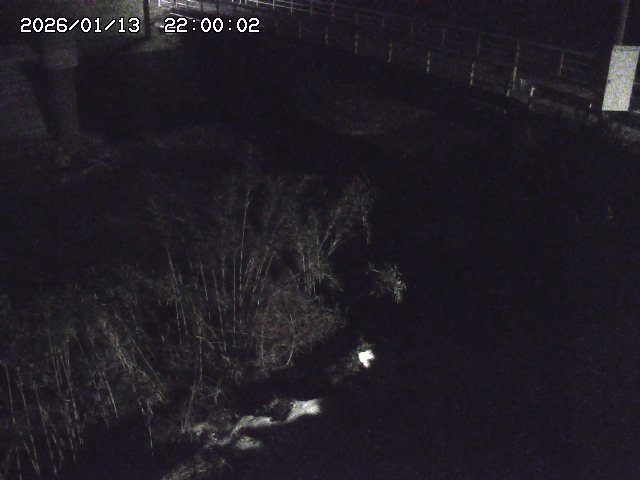 佐治川３2026/01/14 18:50:00