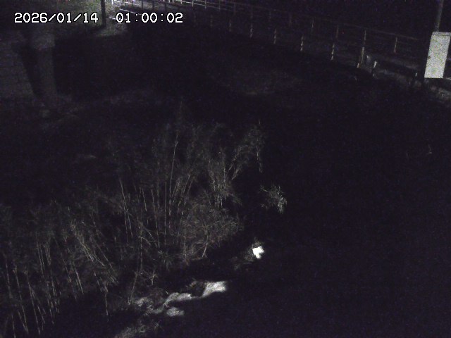 佐治川３2026/01/14 18:50:00