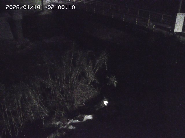 佐治川３2026/01/14 18:50:00