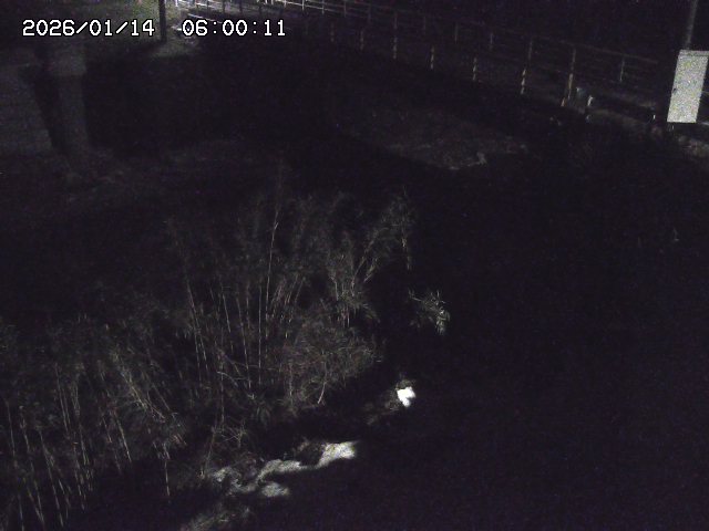 佐治川３2026/01/14 18:50:00