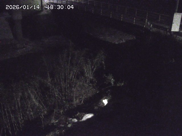 佐治川３2026/01/14 18:50:00