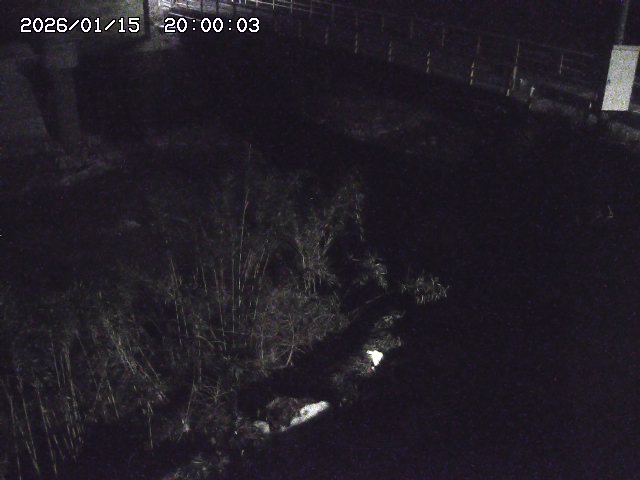 佐治川３2026/01/16 17:10:00