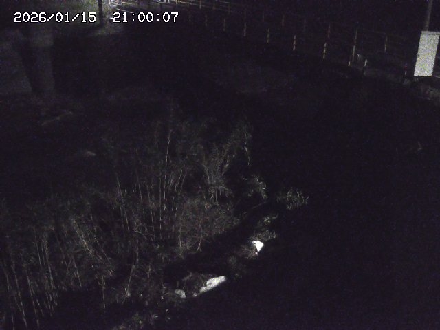 佐治川３2026/01/16 17:10:00