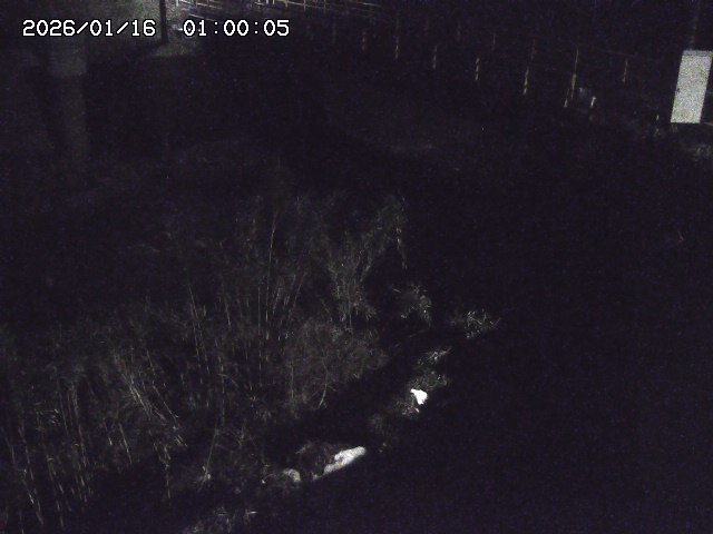 佐治川３2026/01/16 17:10:00