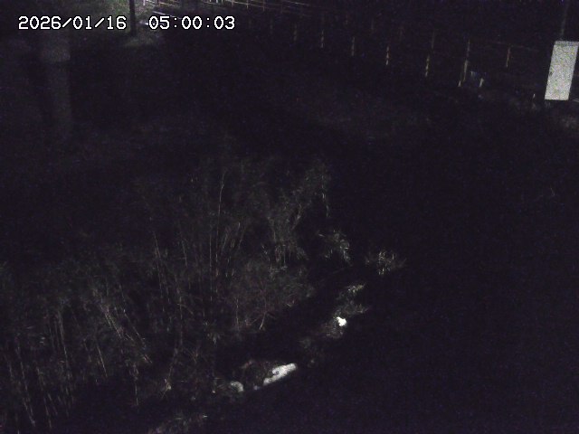 佐治川３2026/01/16 17:10:00