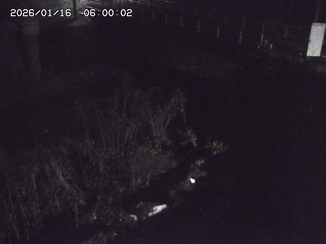 佐治川３2026/01/16 17:10:00