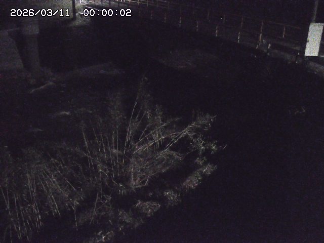 佐治川３2026/03/11 13:50:00