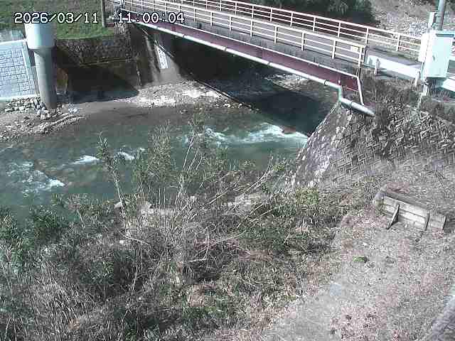 佐治川３2026/03/11 13:50:00