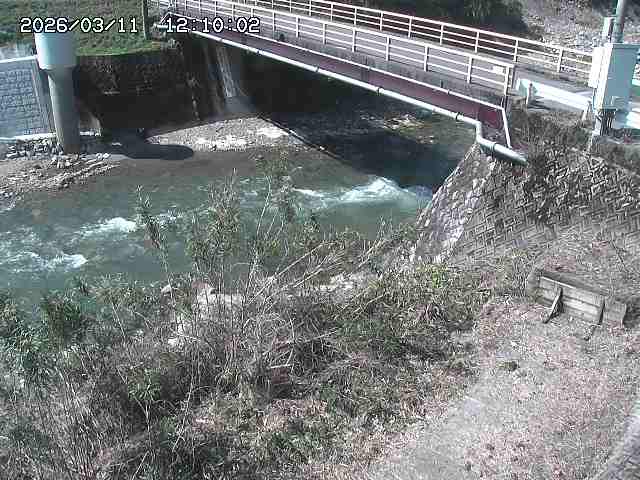 佐治川３2026/03/11 13:50:00