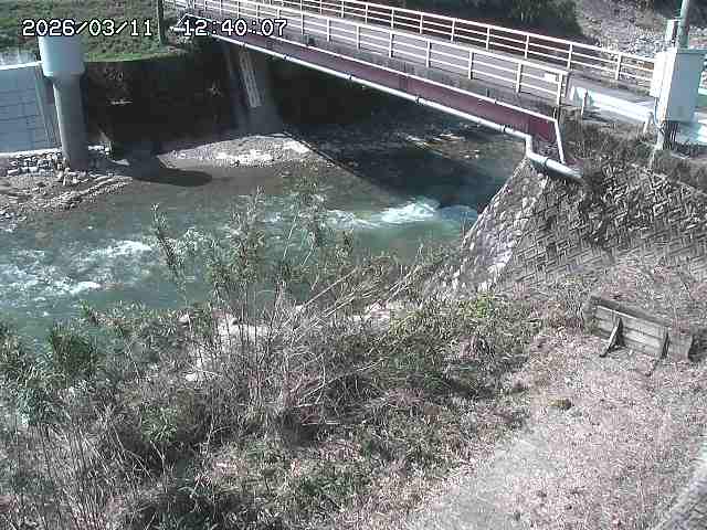 佐治川３2026/03/11 13:50:00