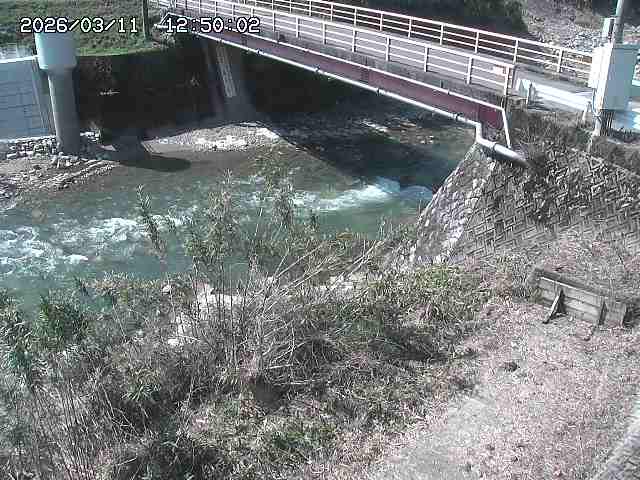 佐治川３2026/03/11 13:50:00