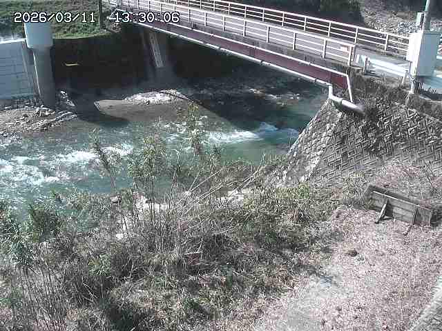 佐治川３2026/03/11 13:50:00