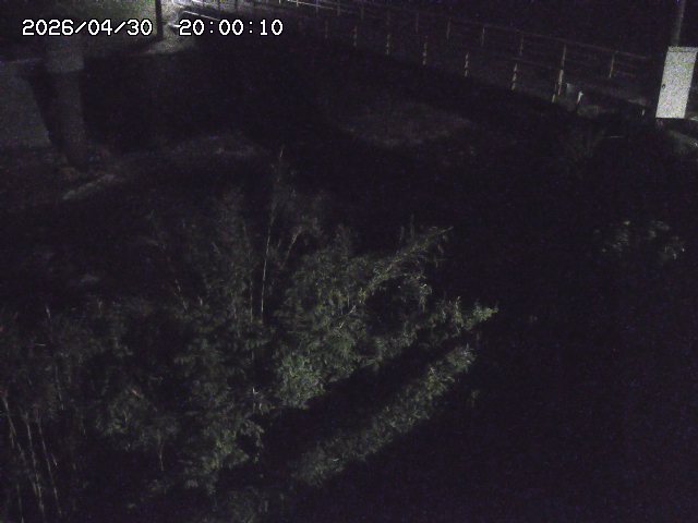 佐治川３2026/05/01 15:10:00