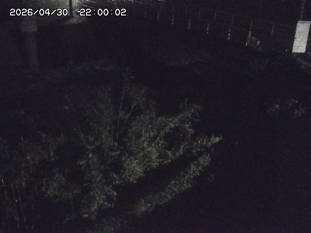 佐治川３2026/05/01 15:10:00
