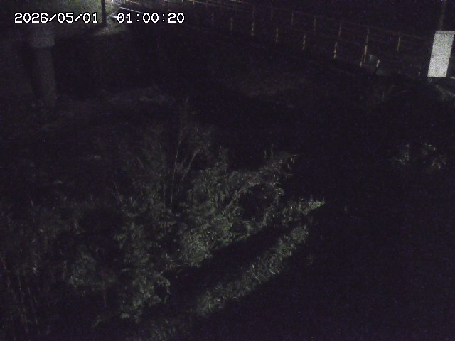 佐治川３2026/05/01 15:10:00