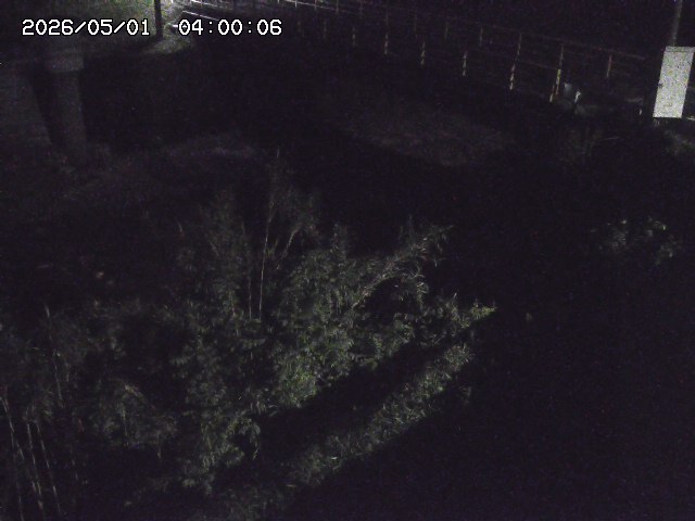 佐治川３2026/05/01 15:10:00